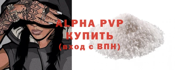 a pvp Новозыбков