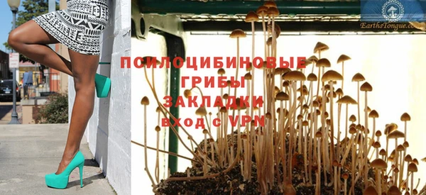 a pvp Новозыбков