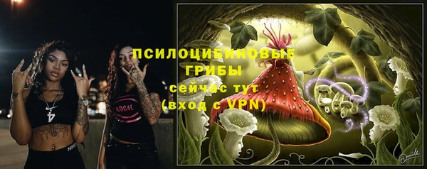 a pvp Новозыбков