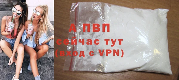a pvp Новозыбков