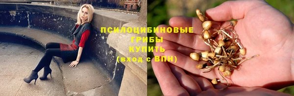 мяу мяу мука Новодвинск