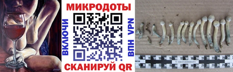 Галлюциногенные грибы прущие грибы  Купить где  Ступино 