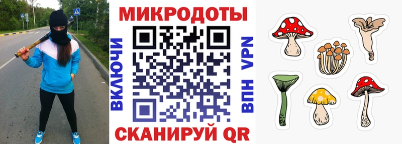 Псилоцибиновые грибы Magic Shrooms Ступино